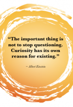 The important thing is not to stop questioning. Curiosity has its own reason for existing.