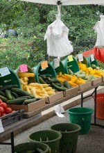 USDA Photo by Lance Cheung