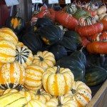 Winter Squash Health Benefits