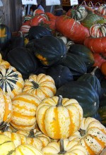 Winter Squash Health Benefits