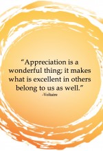 Inspiration-Voltaire