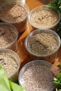 whole grains, balanced diet, food, health