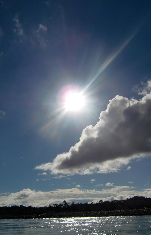 vitamin, vitamin d, health, nutrition