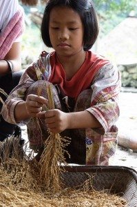 Health, Diet, Food, Rice, Whole Grain