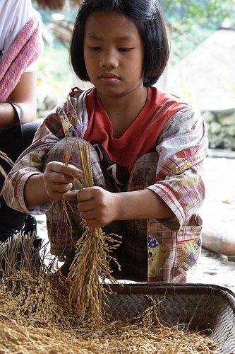 Health, Diet, Food, Rice, Whole Grain