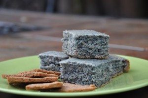 Recipe - Corn Bread and Crackers from Blue Corn Meal