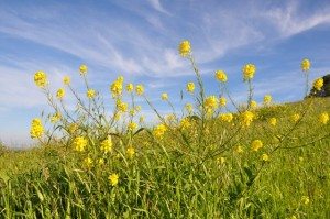 Inspiration - Negative Experiences