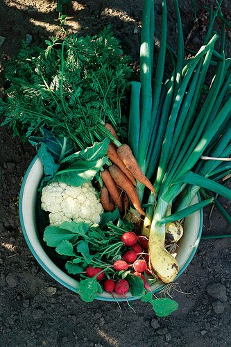 Helping Kids Eat More Green Stuff