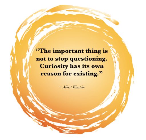 The important thing is not to stop questioning. Curiosity has its own reason for existing.