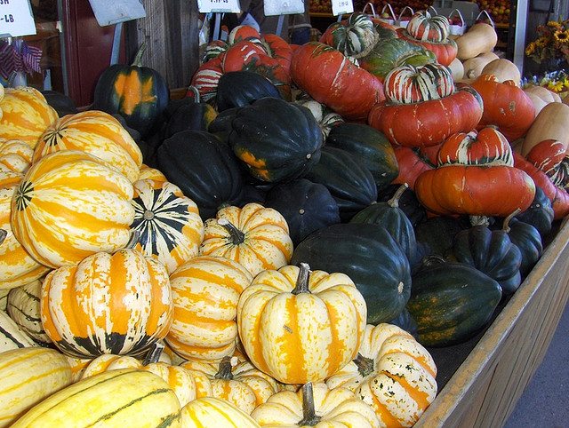 Winter Squash Health Benefits