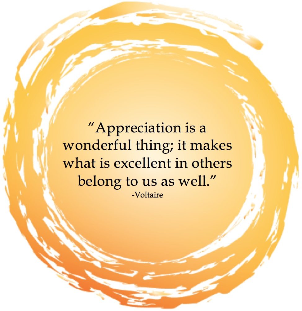 Inspiration-Voltaire